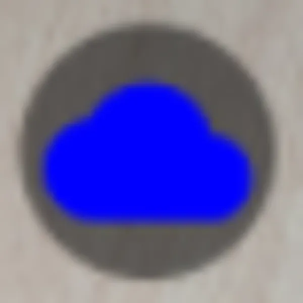 Backup only icon